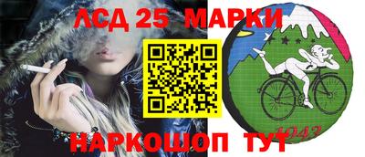 прущие грибы Малгобек