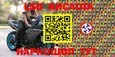 прущие грибы Малгобек