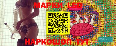 прущие грибы Малгобек