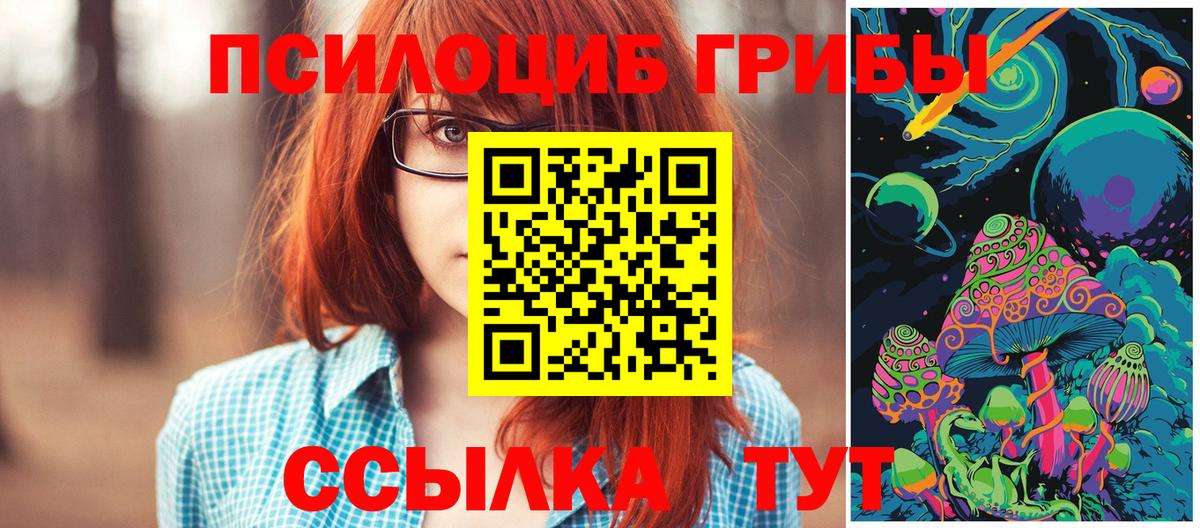 Галлюциногенные грибы Psilocybe  Вход с VPN  Галлюциногенные грибы Cubensis  купить наркоту  Скопин 